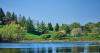 Northern Illinois in Bloom: Best botanical gardens & arboretums