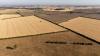 Continued drought could cause shortage of certain foods, head of farmers' union says