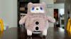 SwitchBot Kata Friends AI Pet Review: Useless if You Don’t Pay Up
