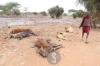 DAVIS: Why smarter water technologies hold the key to ending Africa’s hunger crisis