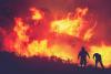 Spokane Fires Update: Three Major Wildfires Strike as Governor Declares Emergency