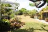 Garden Therapy