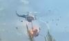 Greek and Dane are killed in mid-air helicopter crash while fighting wildfires: British pilot is among the survivors