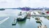 HCM City aims to build national energy, industrial hub
