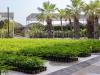 Dubai launches Careem service for licensed gardeners