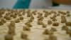 Delicious dumplings: The evolution of delicacies enjoyed all along the Silk Road to Spain