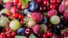 This Iconic British Drink Features A Fruit Many Americans Probably Haven't Tried