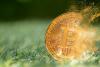 This week in Crypto: Bitcoin showed signs of resilience as Saylor backed STRC and Ray Dalio revealed a 1% Bitcoin allocation.