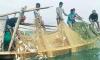 Rajshahi emerges as country’s leading freshwater fish producing region
