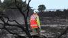 UK wildfires cause devastation to rare wildlife habitats that could take 25 years to recover