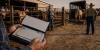 Modern Day Cattle Rustler Bounced a Bunch of Checks to Build a Huge Herd