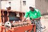 How AgricTech cuts labour for Zim’s female farmers