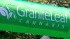 10 years of medical cannabis celebrated