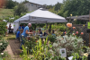 Master Gardeners: Get Your Hands Dirty