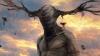 Folk Of Dooney Hollow Follow The Beauty in Ignition Oct 2026 Solicits