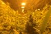 Could empty cannabis grow facilities help solve the data center problem?