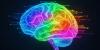 Psilocybin increases brain flexibility and shifts information flow weeks after use