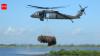 New Orleans collected 9,000 discarded Christmas trees and airlifted them into coastal wetlands; the programme has restored marsh equal to nearly 200 football fields
