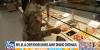 RFK Jr, Chef Irvine unveil MAHA makeover for US Army dining hall