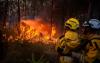 French firefighters ‘sacrificed village to save millionaire holiday homes’