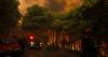 Large-scale forest fires have broken out in Greece — strong winds are causing the fire to spread rapidly