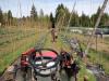 'Care for the land and people': B.C.'s Persephone Brewing looks for the right buyer to take over