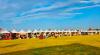 Eritrean Community Festival in the United States