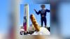 State Fair Of Texas Ranks No. 6 On Yelp’s Top 10 State Fairs For Festival Foods