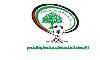 Palestinian Football Federation Announces Return of Domestic Competitions After 3-Year Hiatus