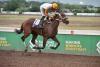 Dream Catcher looks to catch another Classic in the Jamaica Oaks