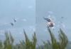Two Bell Helicopters Collide Midair in Greece