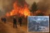 Wildfires rage across Europe as firefighters battle blazes strengthened by gale-force winds