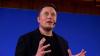 Elon Musk: Nigeria Recorded Four Million More Births Than EU In 2025