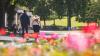 UK heatwave returns as Met Office forecasts 31C heat with 48-hour amber health alert