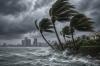 Paradise Prepared: How Tampa Bay Lives Well During Hurricane Season