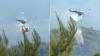 Greece Helicopter Crash: 2 Fire Crew Dead, 2 Injured During Wildfire Operation; Video Surfaces