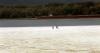 Romania increases the flow of the Danube to secure the Cernavoda nuclear power plant