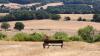 New heat health alert issued for parts of UK as temperatures set to soar