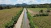 Agri output estimated to have declined in Q2 due to El Niño