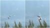 Two Firefighting Helicopters Collide As Greece Battles Massive Wildfires | VIDEO