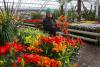 9 Leeds garden centres with cafés and their latest food hygiene ratings