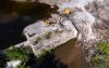 Auburn dam removal begins, aimed at freeing up fish, improving water quality