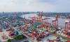 Shanghai Port's single-day container throughput hits record high of 203,881 TEUs despite typhoon impact