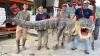 Mississippi River's largest alligator ever caught was a record-breaking giant