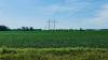 Wisconsin Driftless towns unite against 190-mile power line as more meetings draw crowds