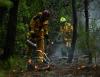 Tourists return after France's massive wildfire