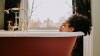 1 in 10 Brits haven’t had a bath in a decade - as nearly half prefer showers