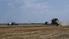Ukraine's government preparing measures to support agricultural producers