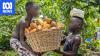 'Behind that treat is human suffering': The chocolate industry's 'dirty secret'