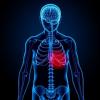 URI wins $1.5 million to study disease affecting older adults, Alzheimer’s patients
